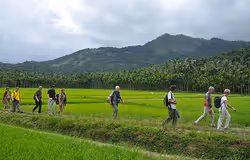 Nature Trail walk activity